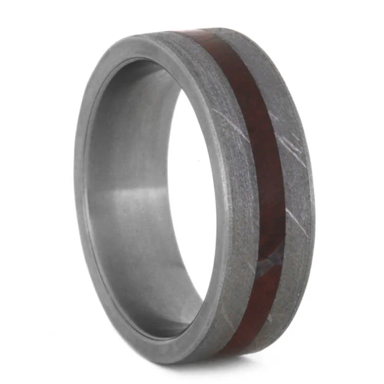 Petrified Wood and Meteorite Wedding Band