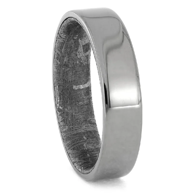 Men's Meteorite Sleeve Titanium Wedding Band